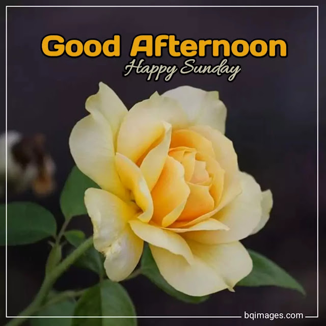 happy sunday images hd download