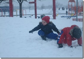 snow 013