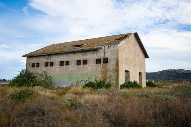 Parco naturale Molentargius-Saline a Cagliari