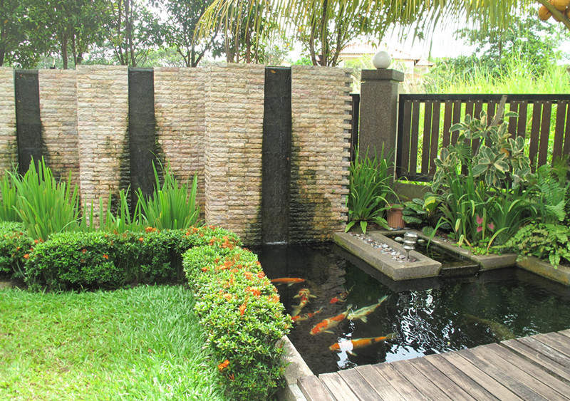 Kolam Ikan Elemen Air pada Taman Rumah ~ Rumah Bagus