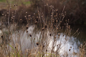 The time between winter and spring in Norfolk