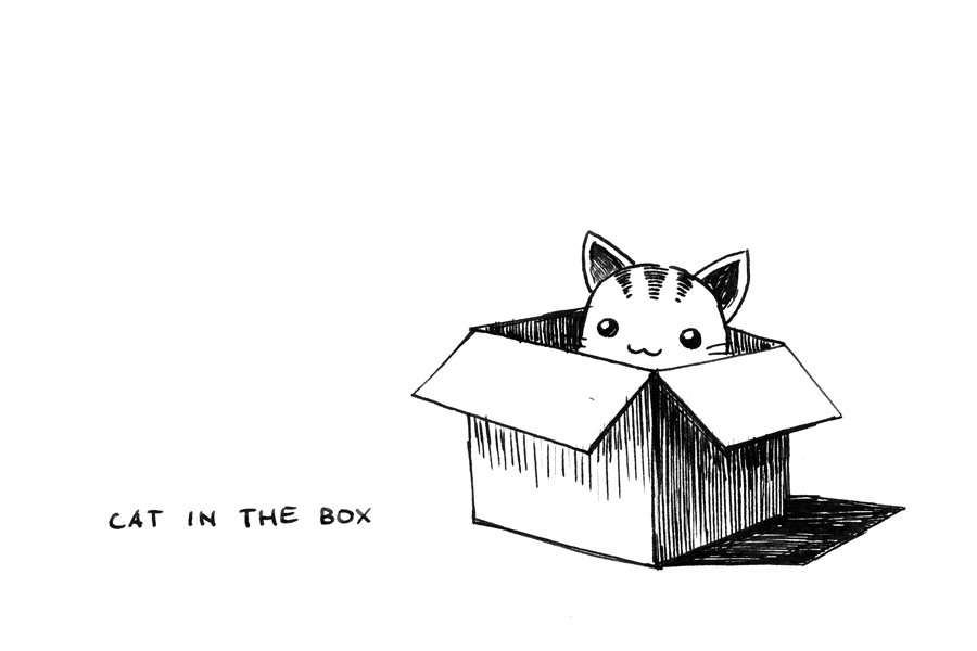 SteamKid: Cat in the box