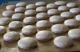 Macarons cacahuète, noisette, noix de pécan et noix de coco