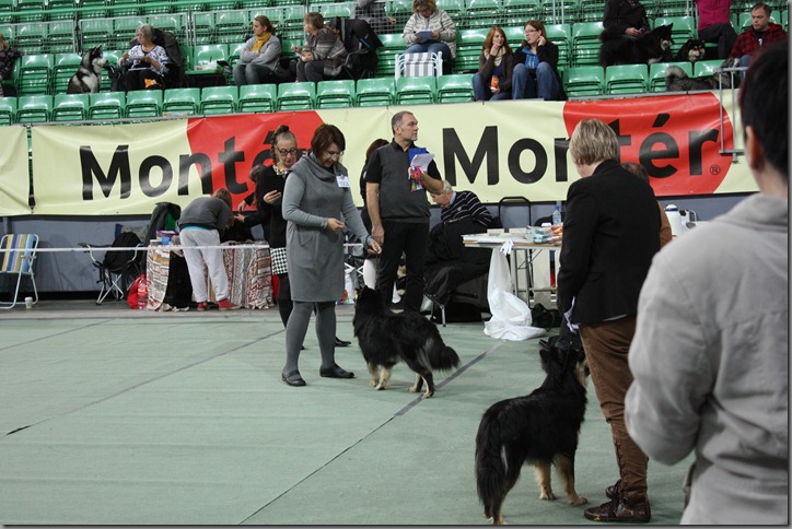 Vikingskipet 9.okt 027