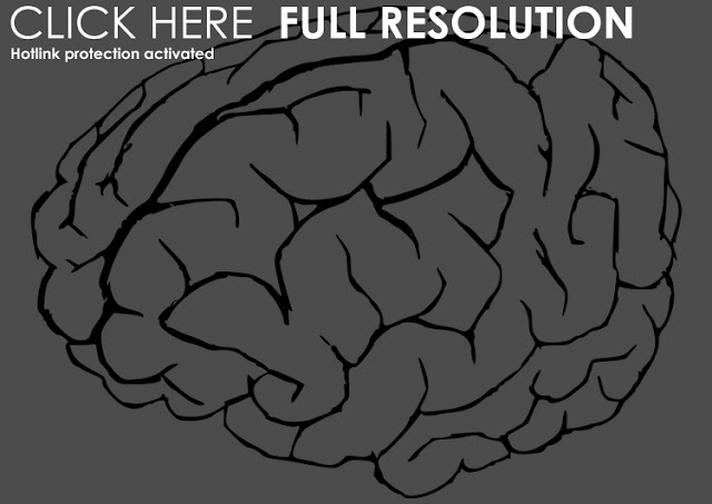 Brain Coloring Pages