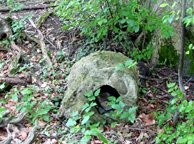 1307005 July 03 Do You See The Casino Cache