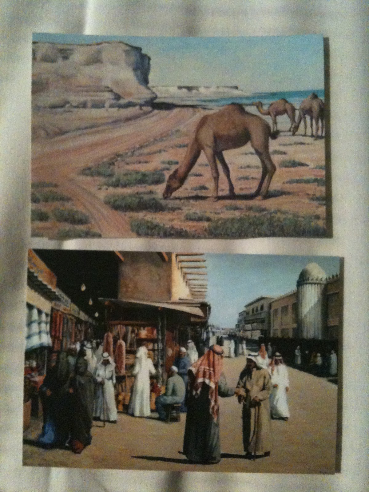 Little Oryx in Qatar: Where to Buy Postcards in Qatar