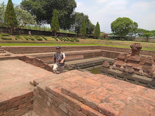 CANDI TIKUS