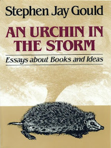 An Urchin in the Storm: Essays about Books and Ideas (English Edition)