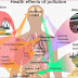 Pollution due to organic wastes 