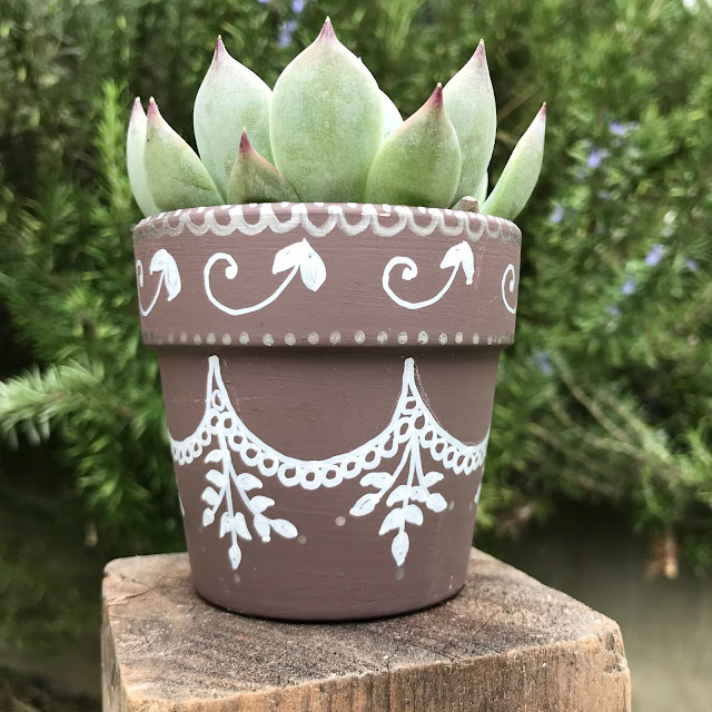 Hand decorated succulent plant gift