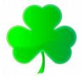 Shamrock2