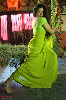 Sexy Navneet Kaur in Sari
