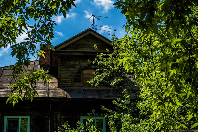 Крыша деревянного дома за листвой