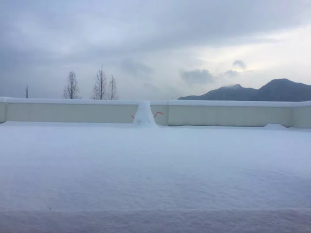 Naked stables in China