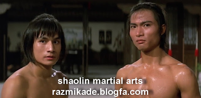 shaolin martial arts 1974