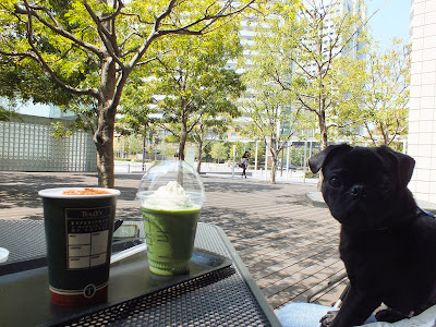 タリーズみなとみらい店の外の席にて