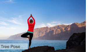 Best yoga for women to make her bone strong, Tree pose