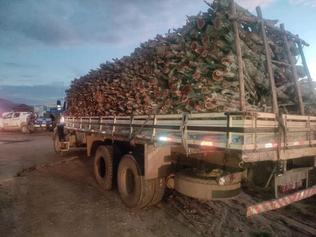 Caminhão com carga irregular de madeira é apreendido em Toritama