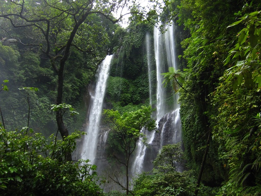 Air Terjun Sekumpul