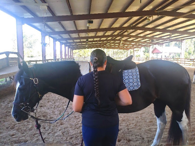 A woman is shown in blue, standing next to a dark horse with white legs, holding the reigns