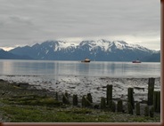 SAM_0338