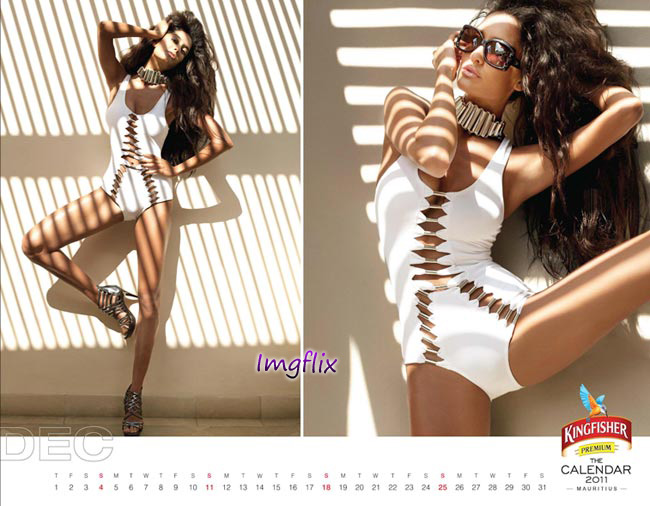 Labels: kingfisher calendar 2010, kingfisher calendar 2011, 