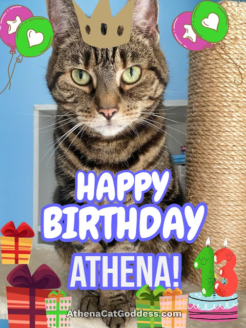 cat birthday card graphic