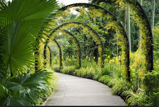 BotanicgardensSingapore