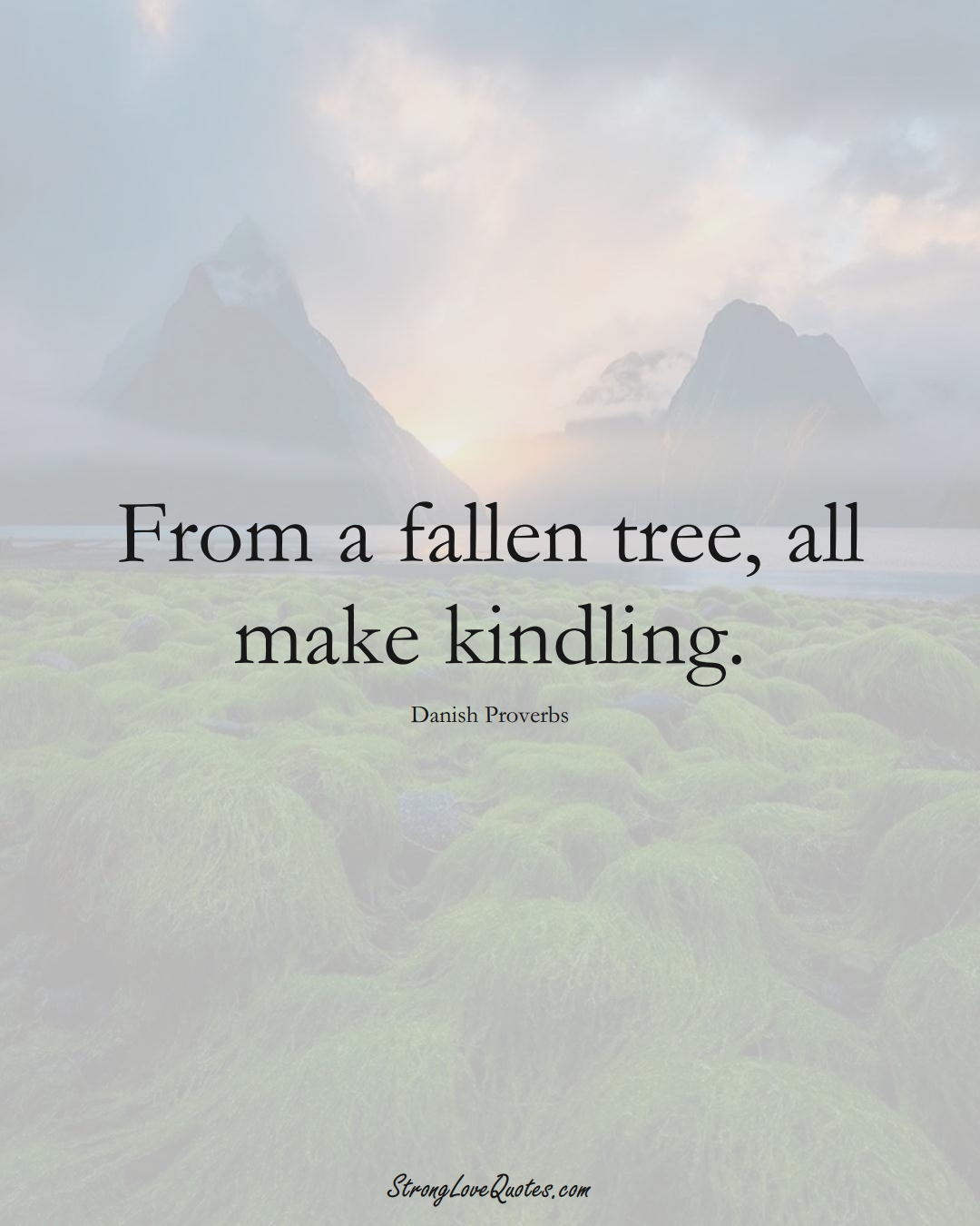 From a fallen tree, all make kindling. (Danish Sayings);  #EuropeanSayings