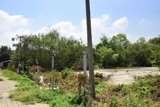 ที่ดินวังน้อย อยุธยา ติดถนนพหลโยธิน