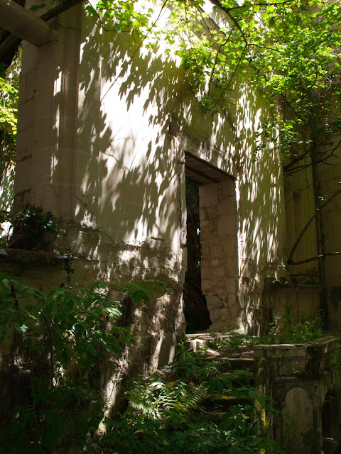 jiemve, château, Mothe Chandeniers, cour, Vienne, Aquitaine, cour, flore, nature, arbre