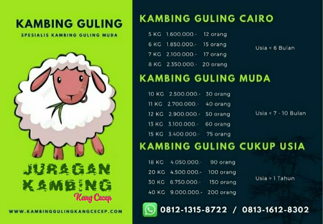 0813-1612-8302 Kang Cecep, Jual Kambing Guling Tanjungsari