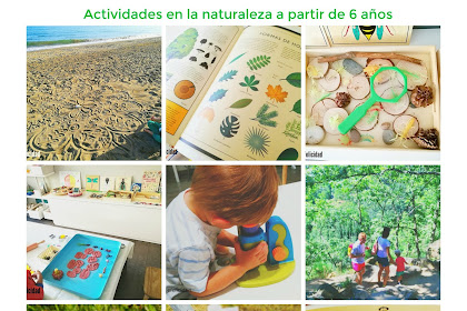 Actividades Con Hojas De Colores Para Niños De Preescolar