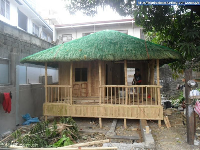Bamboo House Design Philippines