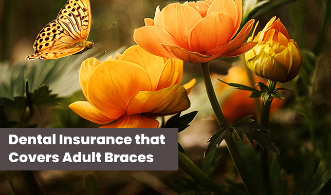 Dental Insurance that Covers Adult Braces