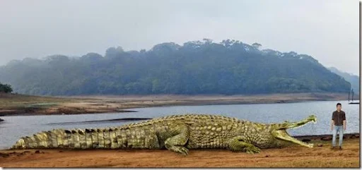 Deinosuchus