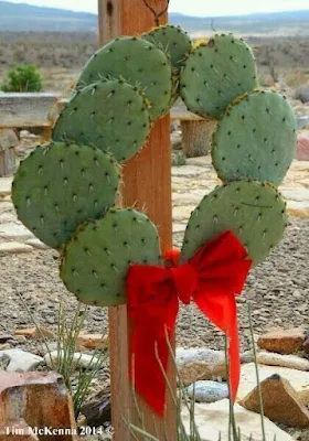 O Natal é o símbolo da vida, do nascimento do nosso salvador, então nada melhor do que decorar a casa com plantinhas, pois elas simbolizam a vida, harmonizam e purificam nosso lar, trazem a beleza da natureza e da vida para dentro de nossas casas.