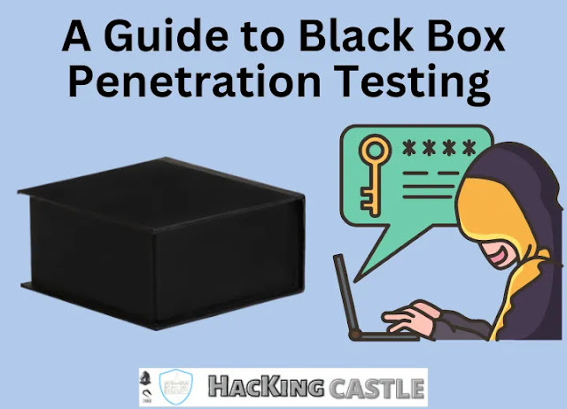 A Guide to Penetration Testing Black Box