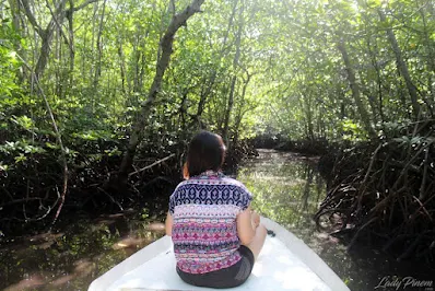 Hutan Mangrove Nusa Lembongan, Bali