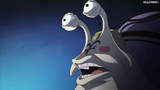 ワンピースアニメ 女ヶ島編 417話 電伝虫 | ONE PIECE Episode 417