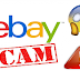 Beware of eBay's scammers 