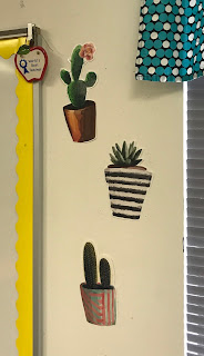 Cacti