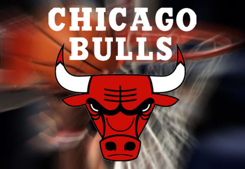 chicago bulls logo 7 competitor. chicago bulls logo 7