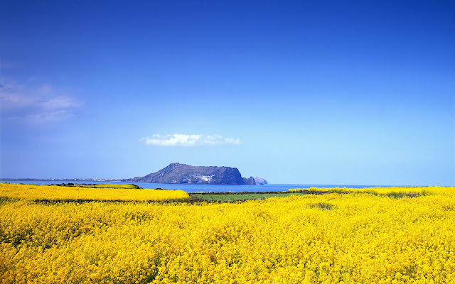 HD Wallpaper Jeju Island view