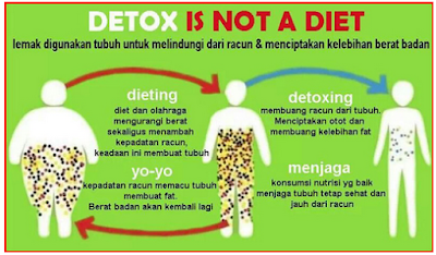 Cara Melangsingkan Tubuh Dengan Diet DETOX