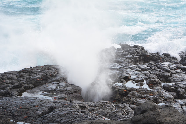 Punta Suarez on Espanola Island  blowhole