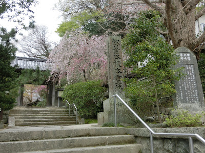  安国論寺