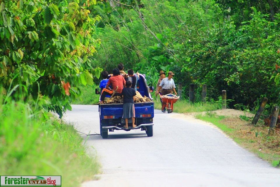 suasana pagi di pedesaan FORESTER UNTAD BLOG