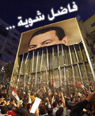 صورة